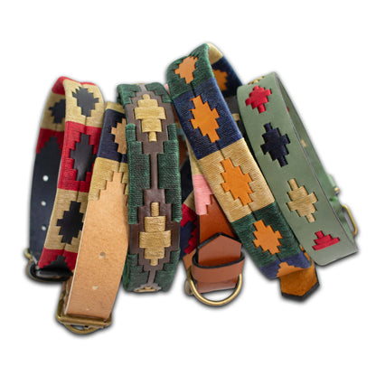 Large colorful dog collars like a polo belts 